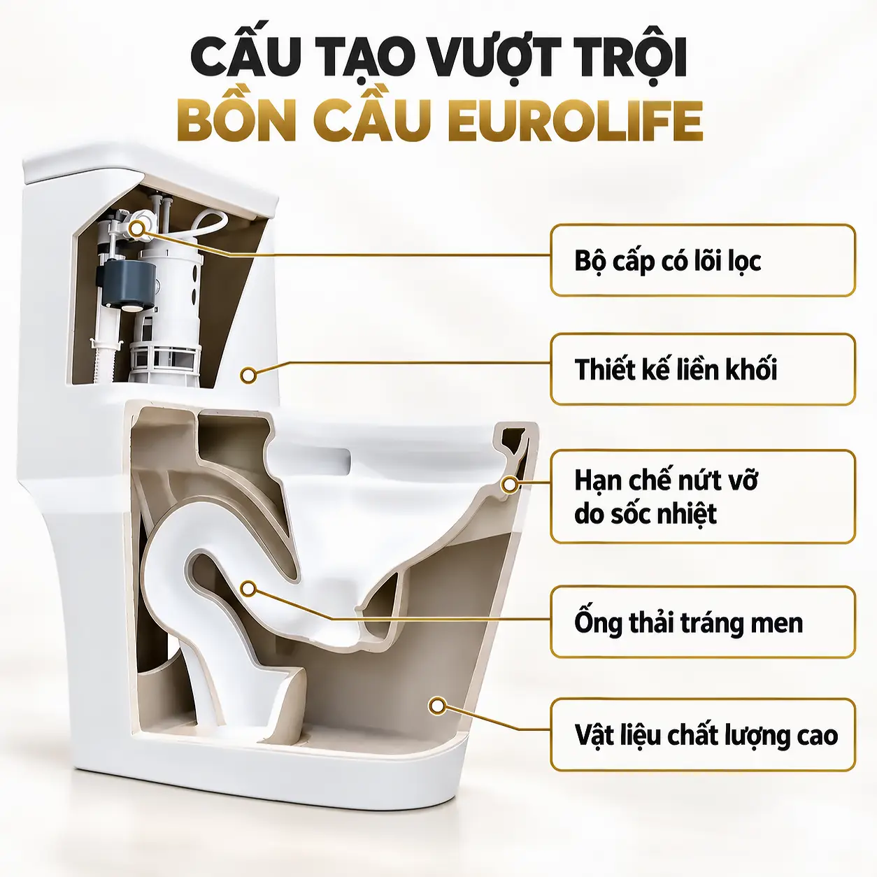Hình cắt lớp minh họa thân bồn, đường thoát và cụm cấp xả bên trong Eurolife EL-LUX8218.