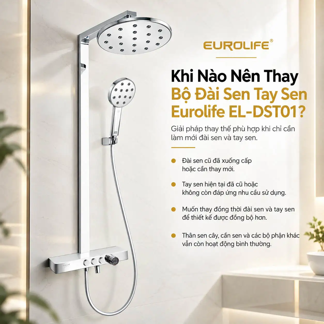 Minh họa trường hợp nên thay bộ đài sen tay sen Eurolife EL-DST01 cho hệ sen cây
