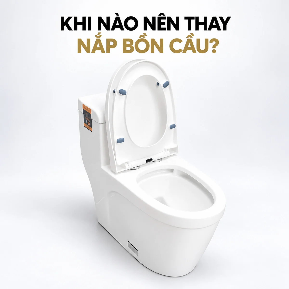 Bồn cầu màu trắng với nắp đậy và vòng ngồi dựng lên, phía trên có câu hỏi khi nào nên thay nắp bồn cầu.
