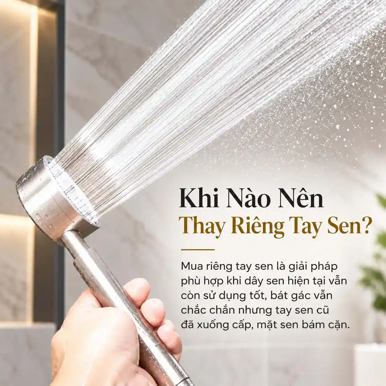 Minh họa khi nên mua riêng tay sen Eurolife EL-H119 để thay tay sen cũ trong khi dây sen còn sử dụng tốt